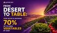 From Desert to Table: How Qatar is Growing 70% of Its Own Vegetables by 2026